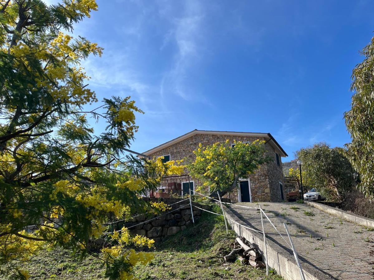 Agriturismo Le Mimose Imperia Dış mekan fotoğraf