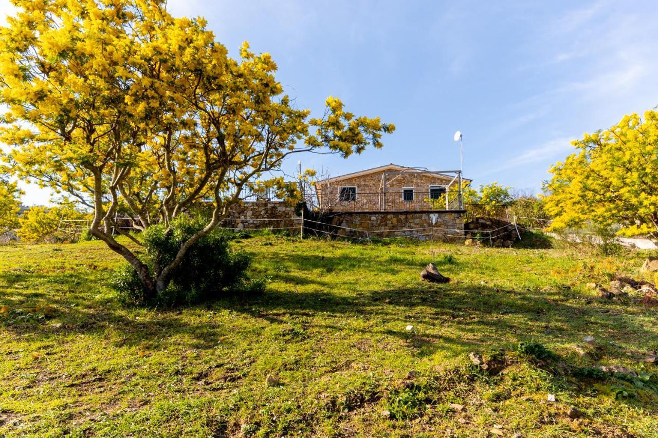 Agriturismo Le Mimose Imperia Dış mekan fotoğraf